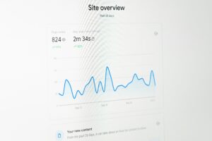 Website Uptime Monitoring